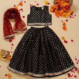 Saka Designs By Sapna Sleeveless Ethnic Motif Foil Printed Coordinating Lehenga Choli With Dupatta - Black-image-56
