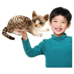 Sanjary Cat Plush Soft Toys for Kids-Height 30 cm -Color & Design May Vary-image-71