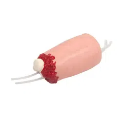 A-ONE SCIENCE PVC Lower Limb Amputation And Haemostasis Model AOSBM283-picture-36