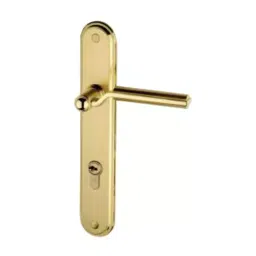 Bonus Premier 65 mm Brass Silver Gold Finish Round Mortice Lock Set-14