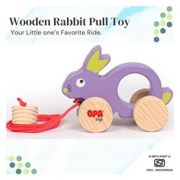 OPA Toys Wooden Push toy & Pull Along Toy  -  Rabbit  Push & Pull Toys (1 pcs)-8