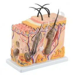 Khanna Traders Skin Block Model-picture-45