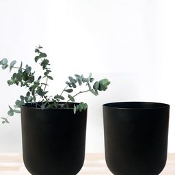 Nymph 2 Pieces Black Planters-picture-52