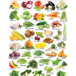 Sawan Vegetables Wall Chart - English-17