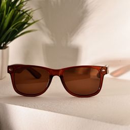 Garry Gobbs Unisex Brown Lens & Brown Wayfarer Sunglasses with-image-92