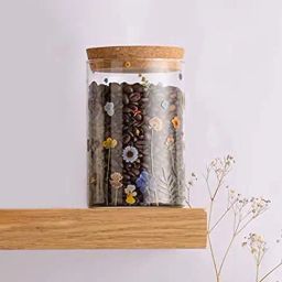 Typhoon Botanics Multicolor Glass Medium Storage Container (0.9 L)-image-67