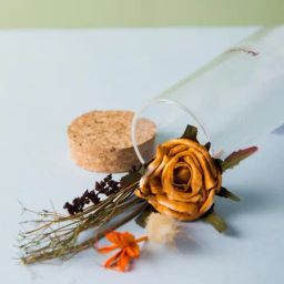 Fabindia Orange Mehak Dried Flowers-image-90