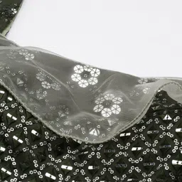 Ethnovog Green Embellished Net Layered Net Maxi Dress image 2