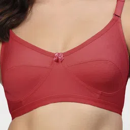 LILY Bra Full Coverage image 4