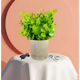 LITVERSE Green 1 Pieces Artificial Plant With Pot-image-62