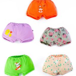 SuperBottoms Pack Of 5 Sheep & Rabbit Printed Underwear - Multi Colour image 3
