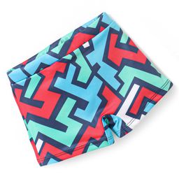 Babyhug Abstract Print Swimming Trunk - Multicolor-image-25
