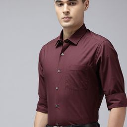 Arrow Manhattan Slim Fit Striped Pure Cotton Formal Shirt-picture-18