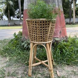 AJAARA Beige Textured Jaal Planter Stand-image-82
