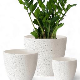 ecofynd Black 3 Pack Terracotta Pots for Plants-picture-19