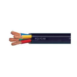 Polycab 6 Sq.mm 5 Core FR Industrial Flexible Cable Black (100 m)-picture-16