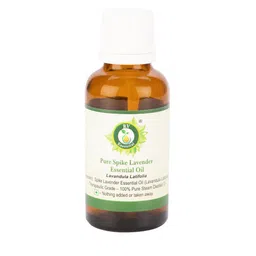 R V Essential Pure Spike Lavender Essential Oil - 10 ml-82