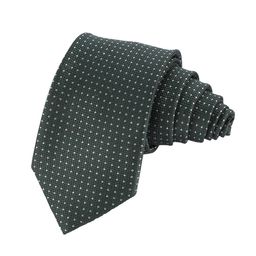 Alvaro Castagnino Men Green & Grey Woven Design Broad Tie-image-86