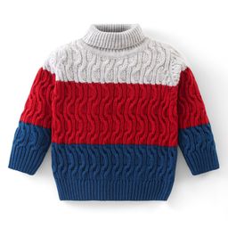 Babyhug Knitted Full Sleeves Turtle Neck Pullovers Sweater With Colour Block & Cable Knit Design - Multicolour-picture-8