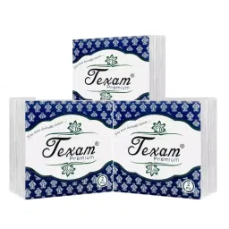 Texam Premium Soft Napkin 33x33 cm 2 Ply 100 Sheets White, TPSN_33x33_2 (Pack of 3)-39