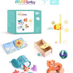 Intellibaby Level 5 (6 Brain Development Toys) 10 months Plus-27