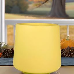 LASAKI Clara Yellow Saffron Ceramic Planters-image-48