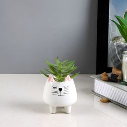 TAYHAA White 1 Pieces Succulent Artificial Plant With Pot-13