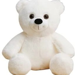 white teddy for girl-image-1
