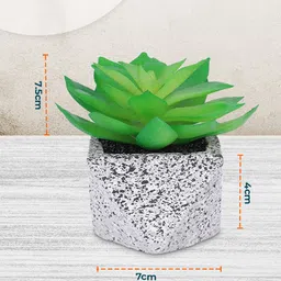 Kuber Industries Green & Grey Succulent Artificial Plant With Pot image 3