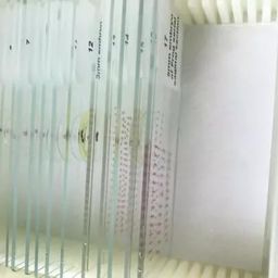 Frog Embryology Prepared Slides Set of 13 Slide image 1