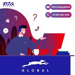 STAG Global 4 Star Table Tennis Racket | Lightweight Professional TT Racket | ITTF Approved Rubber | High Spin, Power & Control | Durable Paddle for Recreational & Advanced Players image 4