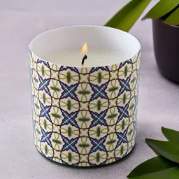 Ekhasa White & Blue Peach Oolong Fragrance Scented Jar Candle-image-68