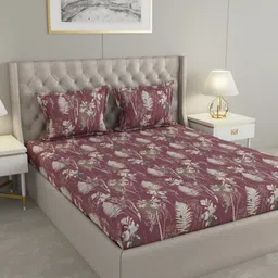 Raymond Home Insignia Taupe & Beige Printed Microfiber Queen Bedsheet Set- 2.50 m x 2.25 m-image-16