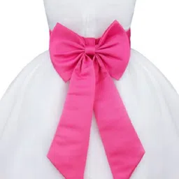 Wish little Net A-Line Maxi Dress image 3
