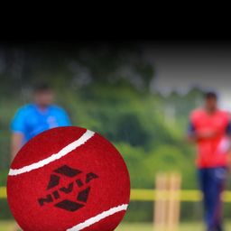 NIVIA 3-Pcs Printed Cricket Balls-picture-13