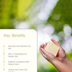 Khadi Traditional Set Of 2 Neem Aloe Vera & Honey Vanilla Soap - 110 g Each image 3