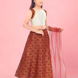 BAESD Girls Ready to Wear Lehenga & Blouse With Dupatta-image-115