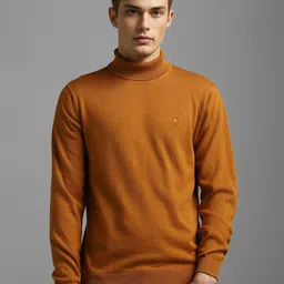 Louis Philippe Men Turtle Neck Pullover Sweater-image-12