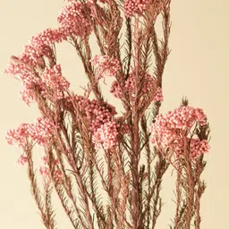 ArteCasa Pink & Brown Rice Artificial Flower-20