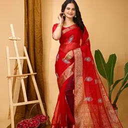 KAYOMMI Floral Zari Tissue Saree-picture-54
