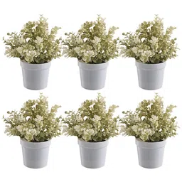 Kuber Industries White 6 Pieces Succulent Artificial Plant With Pot-image-22