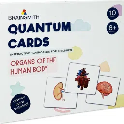 Human Body Picture Quantum Cards Set for Toddlers and Kids (8-96 month old)-image-1