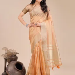ALAGINI Zari Organza Saree-55