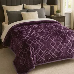 Signature Purple 600 GSM Solid Polyester Mild Winter Double Bed Blanket-picture-41