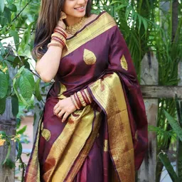 BlueRang Woven Design Zari Silk Blend Banarasi Saree-picture-24
