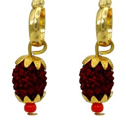 Missmister Gold-Plated Brass Earrings-image-85