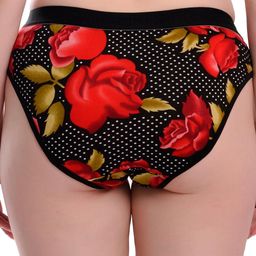 Samvar Women Multi Briefs-image-87