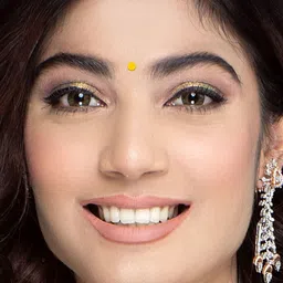 Comet Busters Bindiful Traditional Round Velvet Bindi image 3
