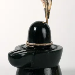Exotic India Black Shivalinga With Brass Snake Head Pooja Essentials-image-89