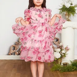 Miss & Chief Embellished Print Puff Sleeve Ruffled Net A-Line Dress-picture-10